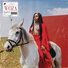 Download Mp3 Sha Sha Woza Fakaza