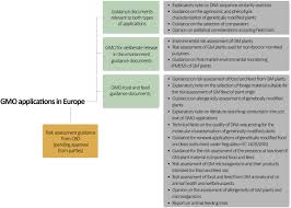 What can be ethical issues raised by creating genetically modified organisms? Frontiers Revisiting Risk Governance Of Gm Plants The Need To Consider New And Emerging Gene Editing Techniques Plant Science