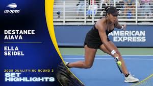 Image result for Seidelia