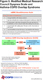 Copd inhalers chart facebook lay chart. The 2017 Update To The Copd Foundation Copd Pocket Consultant Guide Abstract Europe Pmc