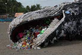 Kumpulan berita paus sperma terbaru hari ini. Bikin Merinding Paus Sperma Tewas Dengan Perut Penuh Sampah