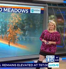 America's number one resource for coverage of local television stations' fashionable female anchors, meteorologists, reporters and show hosts and the boots that they wear. 2020 The Appreciation Of Booted News Women Blog