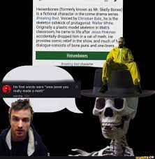 Heisenbones (formerly known as Mr. Skelly Bones) is a fictional character  in the crime drama series .