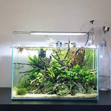 By Kyamok Aquarium Fish Tank Aquarium Landscape Aquascape Design