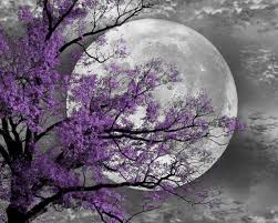 This Item Is Unavailable Etsy Moon Wall Art Purple Trees Beautiful Moon