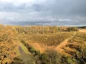 Vogelexcursie Holmers en Halkenbroek - Borger-Odoorn