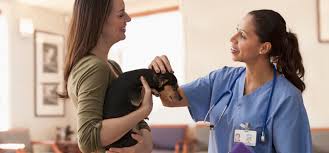 Aurora animal hospital is a yelp advertiser. Aurora Co Veterinarians Pets R Us Aurora Animal Hospital