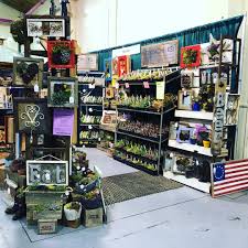 Becky Wright Sell On Instagram We Are At The Eugene Home Garden Show All Weekend Come See Us Sedumchicks Garden Show Selling On Instagram Home And Garden