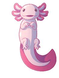 After the world generation, axolotls spawn individually below sea level (y63) in a water source in total darkness and where there is a block with base_stone_overworld tag(i.e. Axolotl Gif Discover More Ambystoma Amphibian Animal Axolotl Cute Gif Download Https Www Icegif Com Axolotl 17 In 2021 Axolotl Cute Axolotl Axolotl Cute Art