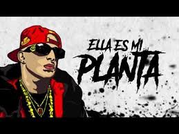 Birds In The Trap Sing Brian Mcknight Lyrics Nengo Flow Ft El Yman Mi Planta Official Video Youtube Videos Canciones Youtube