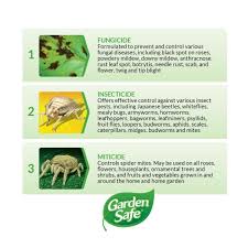 Their oil concentrates effectively battles spider mites, aphids, leafhoppers, whiteflies, and other pests. Garden Safe 16 Oz Neem Oil Extract Concentrate Hg 83179 2 The Home Depot