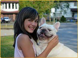 We did not find results for: Amberbull French Bulldogs Vancouver Bc Canadian Kennel Club Registered Amberbull French Bulldogs Vancouver Bc