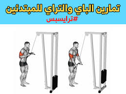 تمارين الباي والتراي بالصور Super Sets Arm Workout Workout