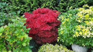 Mit farn, bambus, hosta und japanischem ahorn. Japanischen Garten Gestalten So Geht S Japanwelt De