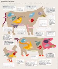 Fleischatlas 2018 Rezepte Fur Eine Bessere Tierhaltung Heinrich Boll Stiftung Fleisch Rind Huhner