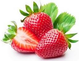 Strawberry Crop Guide Haifa Group