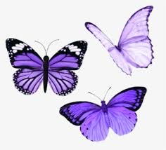 Tumblr wallpaper whats wallpaper space phone wallpaper planets wallpaper dark wallpaper iphone iphone wallpaper tumblr aesthetic star wallpaper iphone background wallpaper butterfly wallpaper. Butterfly Tumblr Cute Aesthetic White Butterfly Hd Png Download Transparent Png Image Pngitem