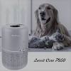 This air purifier must eliminate both the smoke and its smell as well. 1
