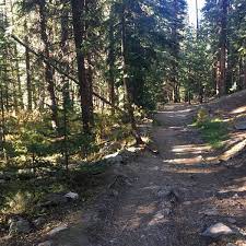 Photos At Burro Trail Breckenridge Co