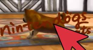 All the breeds from the original nintendogs games return . How To Get Rare Items In Nintendogs 9 Steps With Pictures