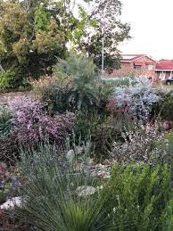 Australian Native Plants Flowering In Winter Mixed Cottage Border Australian Native Plants Australian Native Garden Australian Cottage Garden