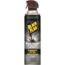Seattle exterminator serving the puget sound including bellevue. Black Flag Wasp Hornet Yellow Jacket Killer 14 Oz Insect Pest Control Meijer Grocery Pharmacy Home More