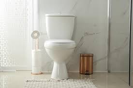 This is just about the same height as the height of a chair. 7 Best Comfort Height Toilets Of 2021 Tall Toilet Reviews