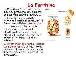 La mela, il mirtillo, il pompelmo, il melone, l'arancia. Ferritina Alta Cause Sintomi E Rimedi