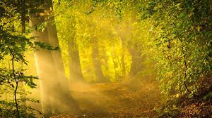 How We Can Feel Loved Ones On The Other Side Of The Veil The Angels Who Surround Us Lds Living