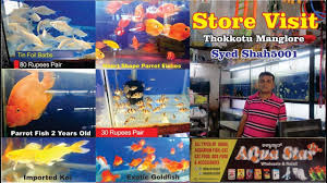 Aqua Star Fish Store Manglore Aquarium Fish Store Visiting 2019 Aquar Aquarium Fish Parrot Fish Aquarium Store