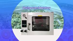 Drying oven laboratory