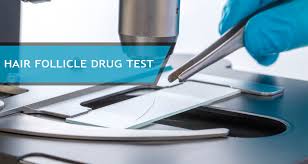 Trusted & reliable · lowest pricing in market · made in usa Hair Follicle Drug Test Complete Guide Tests Review