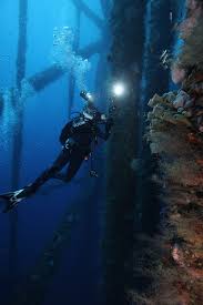 The Gulf Of Mexico S Hottest Diving Spots Are Decommissioned Oil Rigs Travel Smithsonian Magazine