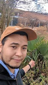 Sabal Minor Palm Growth in Maryland and Virginia