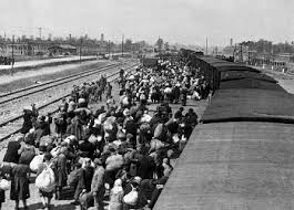 Check spelling or type a new query. Chelmno Majdanek Auschwitz Birkenau Overview Study Com