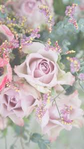 Choose from a curated selection of flower wallpapers for your mobile and desktop screens. Free Floral Phone Wallpapers Spring Collection Bibs 2014 Capture By Lucy Flower Phone Wallpaper Flowers Photography Wallpaper Flower Wallpaper