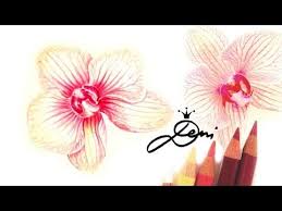 Orchidee Zeichnen Nach Einer Echten Blume How To Draw A Flower Kak Se Risuva Cvete Orhideya Youtube Blumen Zeichnen Blumen Malen Zeichnen