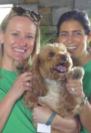 CAMBA Courier: Fall 2016