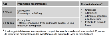 Causes et facteurs de risque de lyme. Traiter Et Prevenir La Maladie De Lyme 2 2 L Actualite