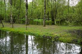 Canche-Authie