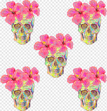 You may also like skull with crossed bones or skull and crown clipart! Flower Euclidean Pattern Flowers Skull Happy Birthday Vector Images Flowers Vector Skull Png Pngwing
