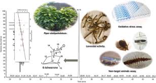 Image result for Sphaeranthus flexuosus