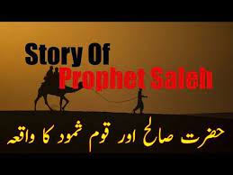 Hazrat saleh (a.s) is a prophet mentioned in the quran who prophesied to the tribe of thamud in ancient arabia. Hazrat Saleh As Story In Urdu Ø§Ø±Ø¯Ùˆ Ù…ÛŒÚº Ø­Ø¶Ø±Øª ØµØ§Ù„Ø­ Ú©Ø§ Ù‚Øµ Û Saleh As Aur Un Ki Quam Ka Qisa Youtube Story Stories Urdu