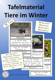 Tafelmaterial Tiere Im Winter Unterrichtsmaterial In Den Fachern Fachubergreifendes Sachunterricht Tiere Wildschwein Winterstarre