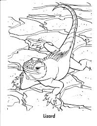 Download this adorable dog printable to delight your child. Coloring Pages Lizards Coloring Home