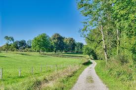 We did not find results for: Path Trail Lane Fence Demarcation Farm Meadow Fields Grass Trees Woods Pikist