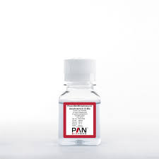 Image result for Amphotericin B