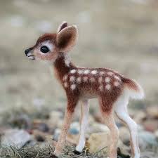 Bekijk meer ideeën over schattige dieren, dieren, schattig. Angelillo Schattige Dieren Schattigste Dieren Dieren En Huisdieren