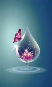 Whatsapp Dp Wallpapers Whatsapp Dp Wallpapers Hd Download Whatsapp Dp Whatsapp Wallpaper Dp Images W Flower Phone Wallpaper Flower Wallpaper Flower Art