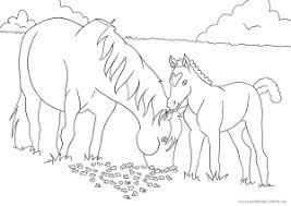 Ausmalbilder Pferde Und Ponys Mit Fohlen Malvorlagen Malvorlagen Pferde Ausmalbilder